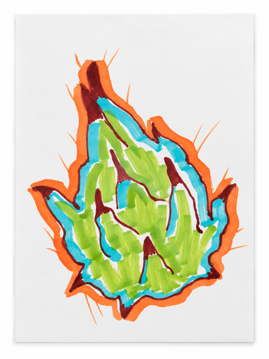 Ilustración Alcachofa